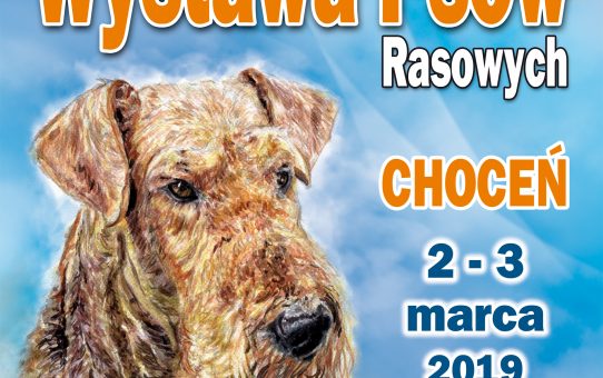 Wystawa Psów