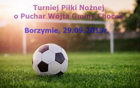 Puchar Wójta